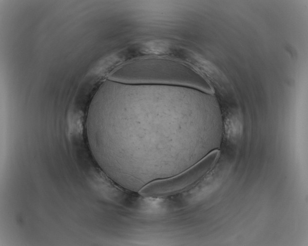 X0000112970570200909101656