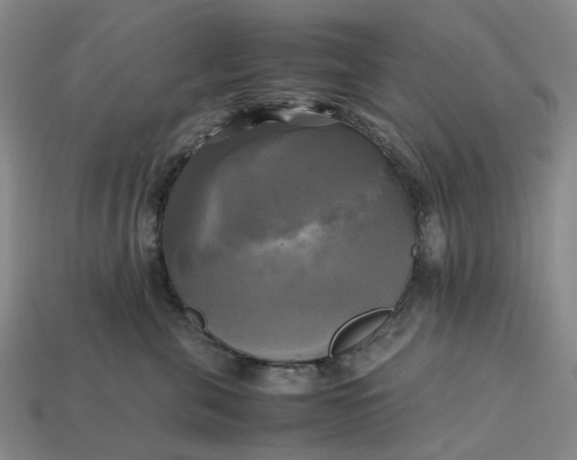 X0000112970571200909101656