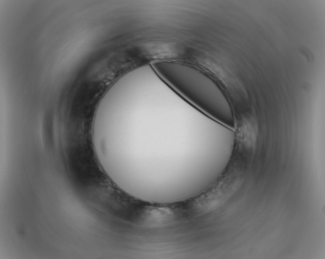 X0000112970572200909101656