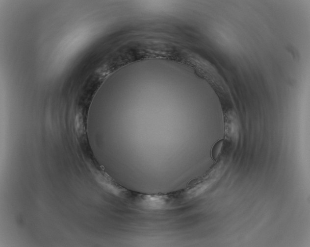 X0000112970573200909101656