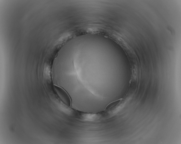 X0000112970575200909101656