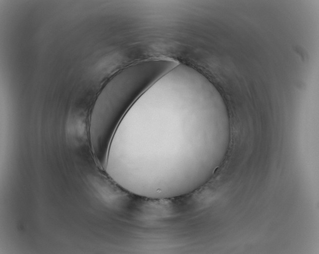 X0000112970576200909101656