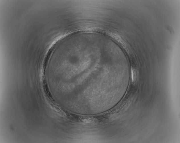 X0000112970579200909101655