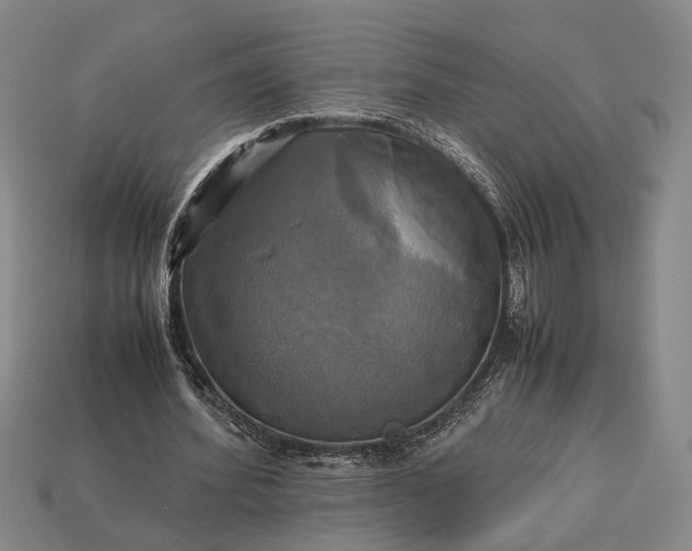 X0000112970580200909101655