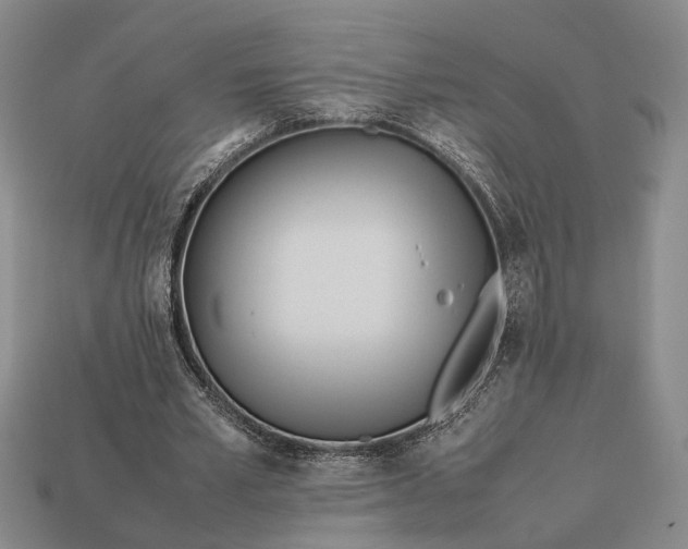 X0000112970581200909101655