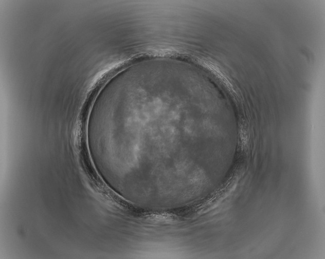 X0000112970583200909101655