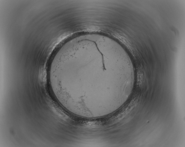 X0000112970584200909101655