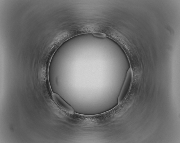 X0000112970585200909101655