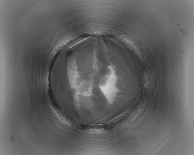 X0000112970586200909101655