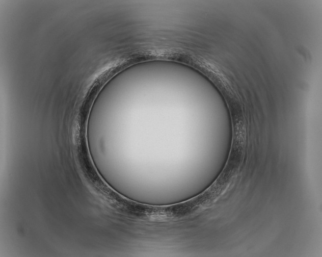 X0000112970587200909101655