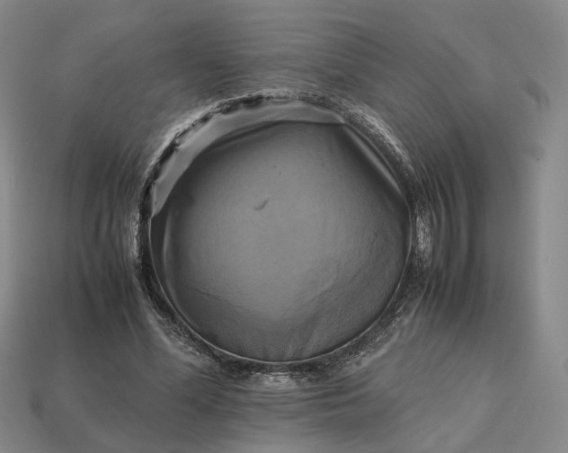 X0000112970588200909101655