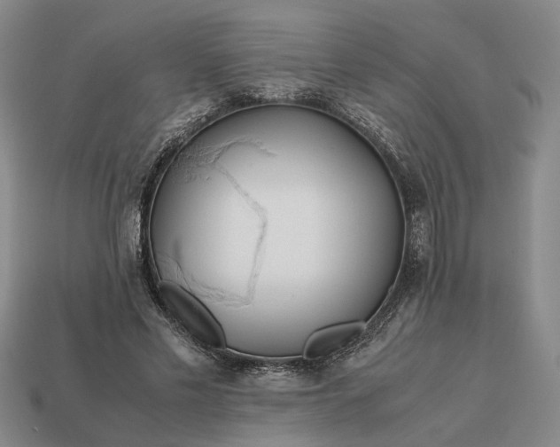 X0000112970589200909101655