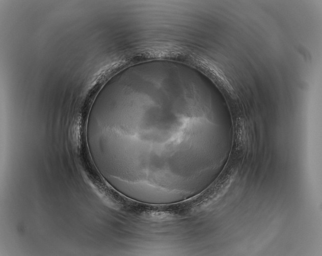 X0000112970590200909101655