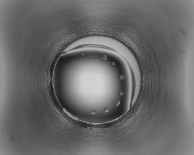 X0000112970593200909101655