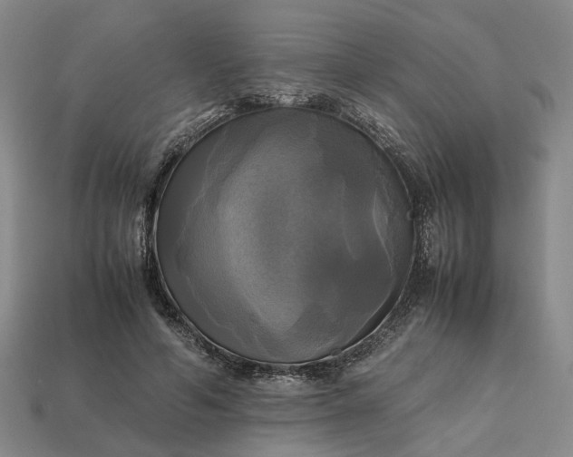 X0000112970594200909101655