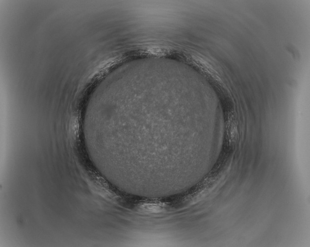 X0000112970595200909101655