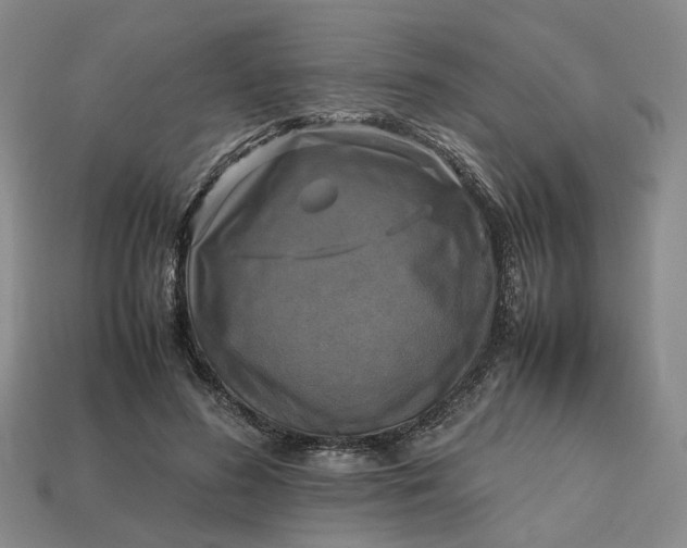 X0000112970596200909101655