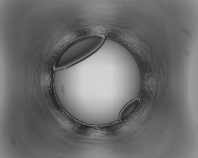 X0000112970597200909101655