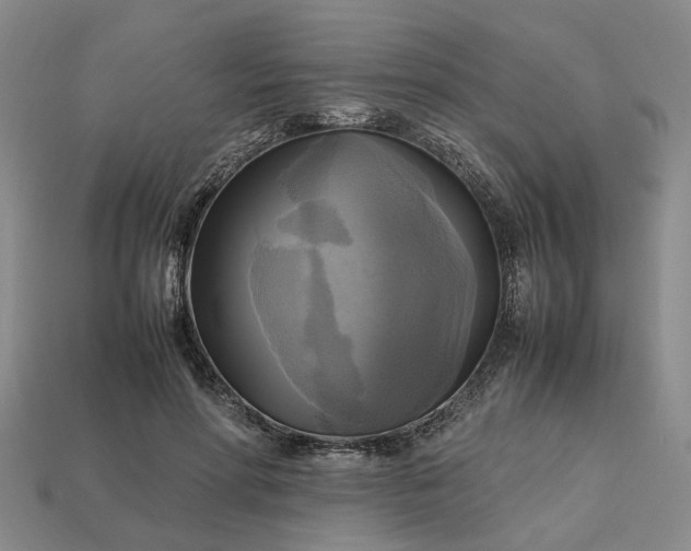 X0000112970598200909101655