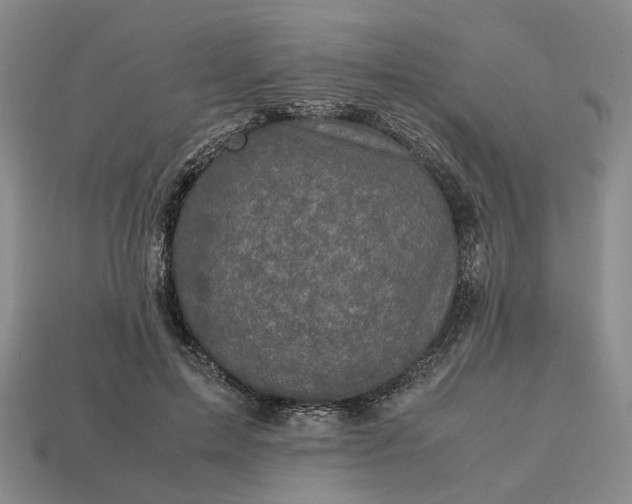 X0000112970599200909101655