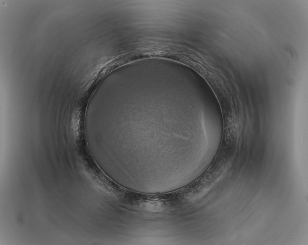 X0000112970600200909101655