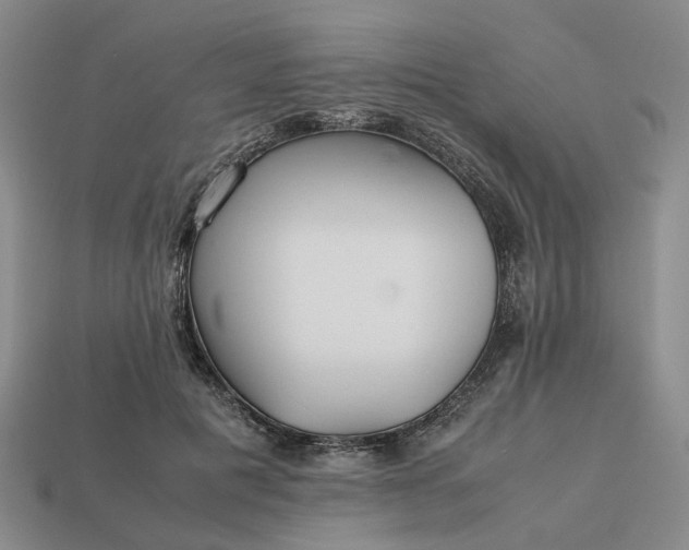 X0000112970601200909101655