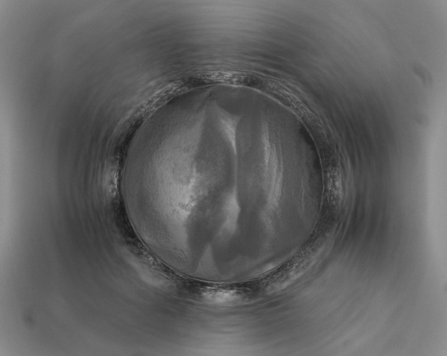 X0000112970602200909101655