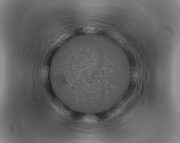 X0000112970603200909101655