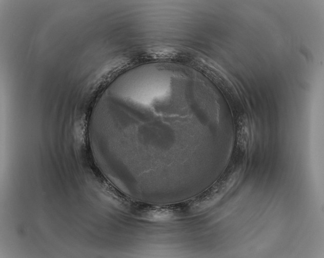 X0000112970604200909101655