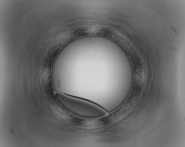 X0000112970605200909101655