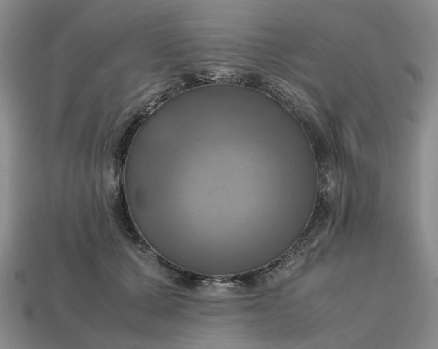 X0000112970607200909101655