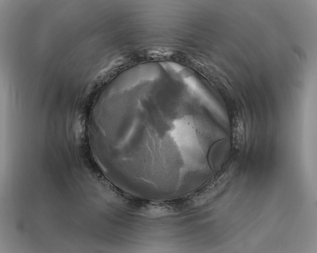 X0000112970608200909101655