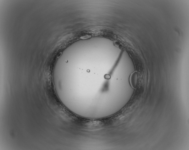 X0000112970609200909101655