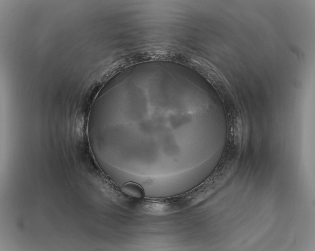 X0000112970610200909101655