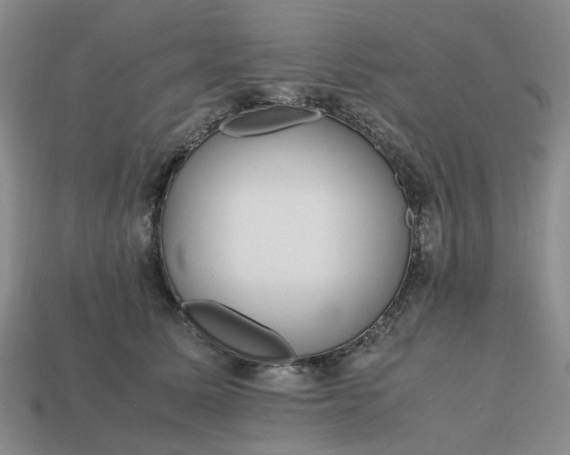 X0000112970611200909101655