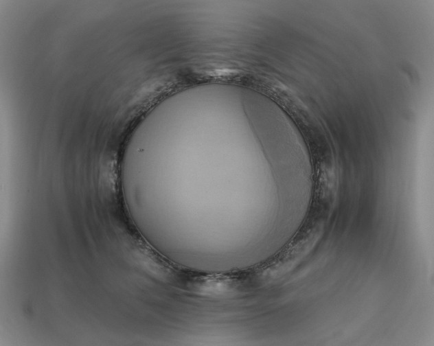 X0000112970612200909101655