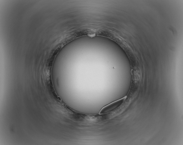 X0000112970613200909101655