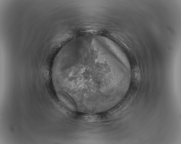 X0000112970615200909101655