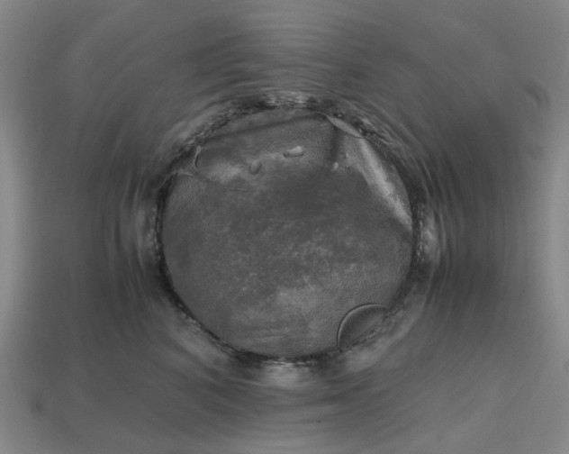 X0000112970616200909101655