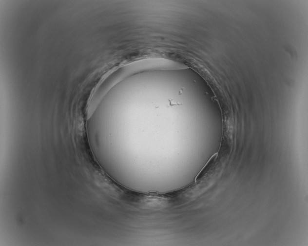 X0000112970617200909101655