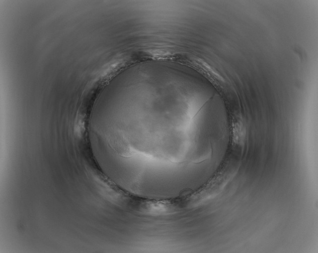 X0000112970618200909101655