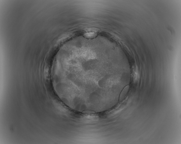 X0000112970619200909101655