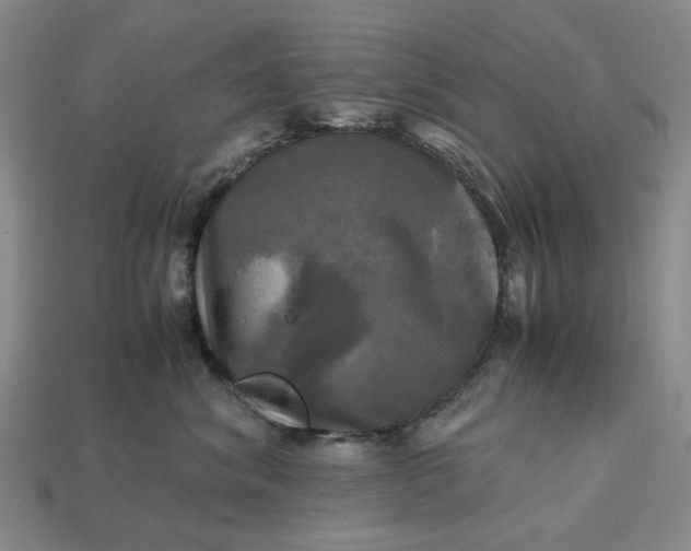 X0000112970620200909101655