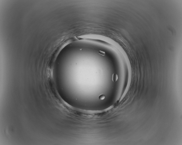 X0000112970621200909101655