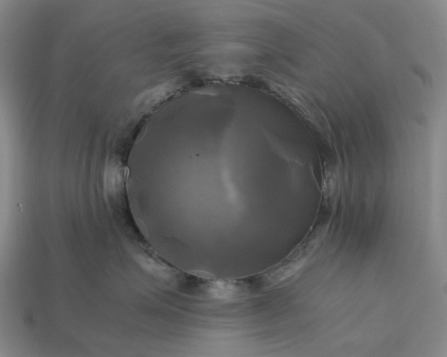 X0000112970623200909101654