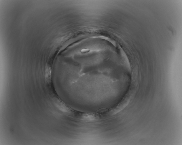 X0000112970624200909101654