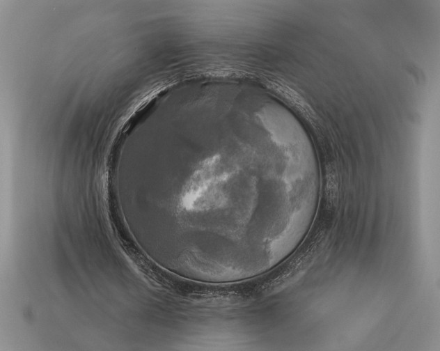 X0000112970626200909101654