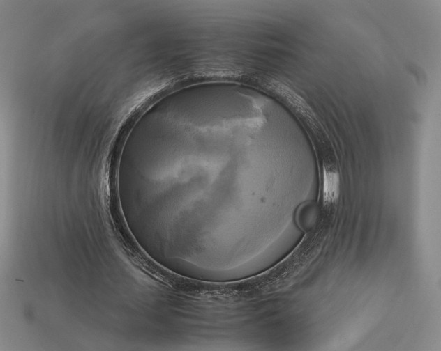 X0000112970627200909101654