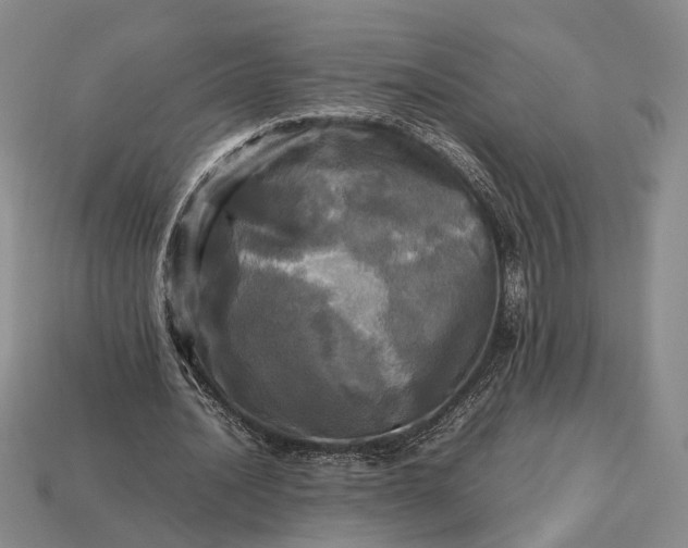 X0000112970628200909101654