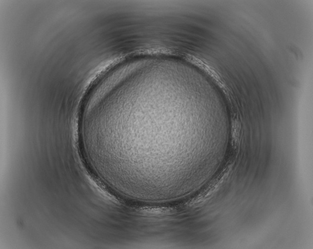 X0000112970629200909101654